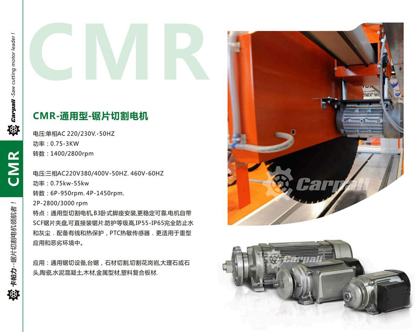 CARPALI-CMR.jpg CARPALI-CMR.jpg
